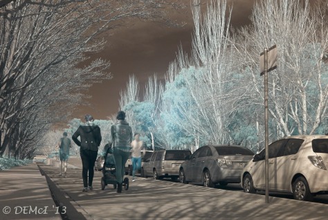 Canberra in winter, more infra-red photography